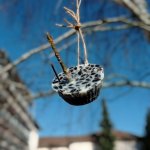 phoca_thumb_m_zajci a ptci 46 Fotogalerie